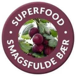 Stikkelsbær 'Hinnomaeki Rød'