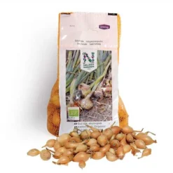 Økologisk Gul Sætteløg