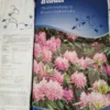 Blåbær & Rhododendron Jord 40 Ltr. -Smuk Haven Salgsbutik 20190608 145047