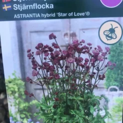 Stjerneskærm 'Star Of Love'®