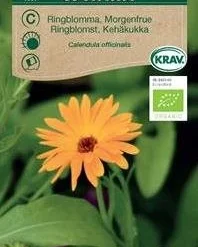 Morgenfrue, økologisk