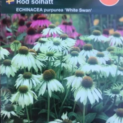 Hvid Solhat 'White Swan'