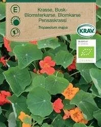Blomsterkarse øko