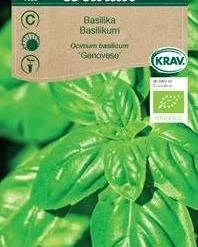 Basilikum, økologisk