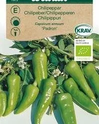 Chilipeber `Padron`, økologisk