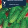 Agurk, Friland -Smuk Haven Salgsbutik 8027