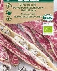 Bønne, Borlotti, økologisk