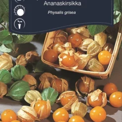 ANANASKIRSEBÆR
