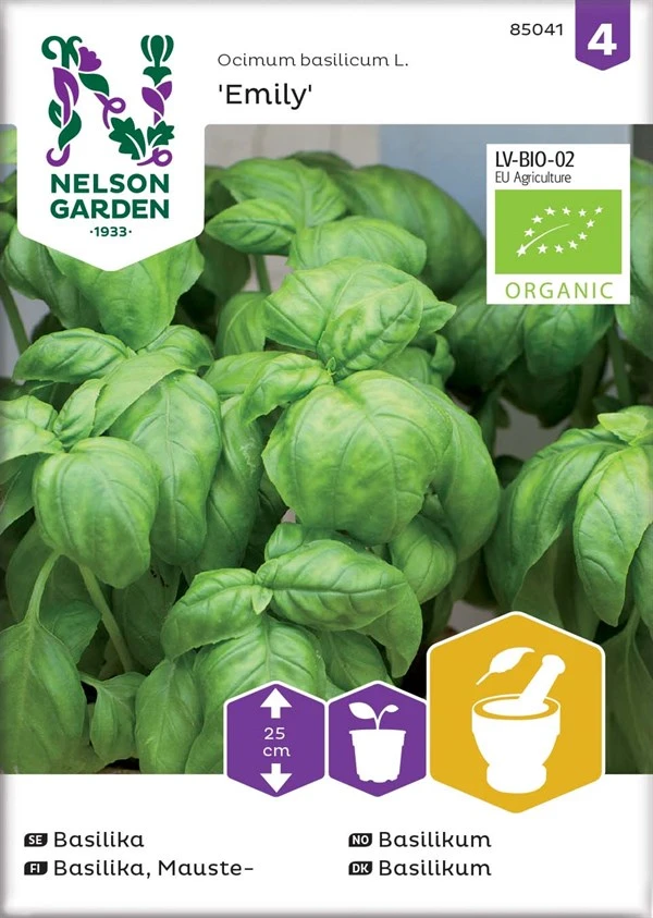 Basilikum 3 Basilikum