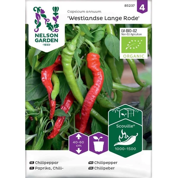 Chilipeber 'Westlandse Lange Rode' 3 Chilipeber 'Westlandse Lange Rode'