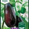 Aubergine