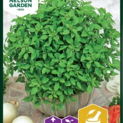 Basilikum Kugleformet