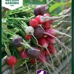 Radise, Mix,Purp. Pink, Albena, Zlata