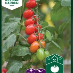 Tomat, Kirsebær-, Vespolino F1