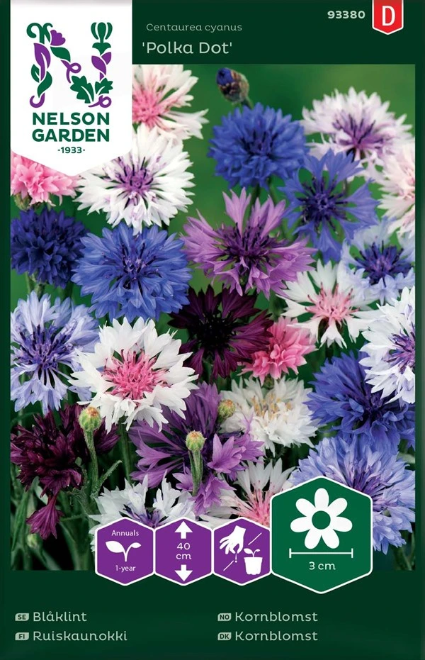 Kornblomst 3 Kornblomst