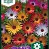 Bellis Dorotheanthus 1 Bellis Dorotheanthus -Smuk Haven Salgsbutik 93488