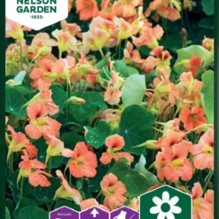 Buskblomsterkarse, Salmon Baby