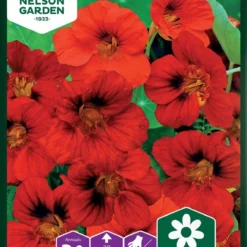 Buskblomsterkarse, Whirlybird Mahogny