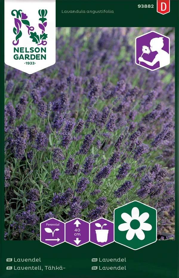 Ægte Lavendel 3 Ægte Lavendel