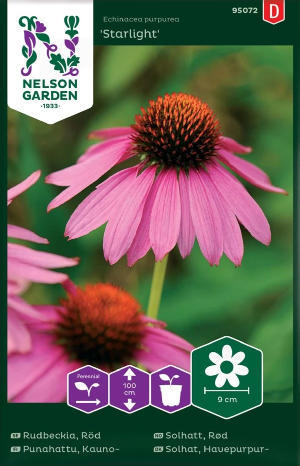 Havepurpursolhat 3 Havepurpursolhat