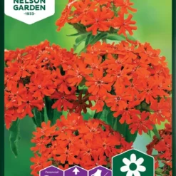 Brændende Kærlighed