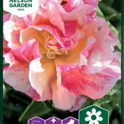 Californisk Guldvalmue