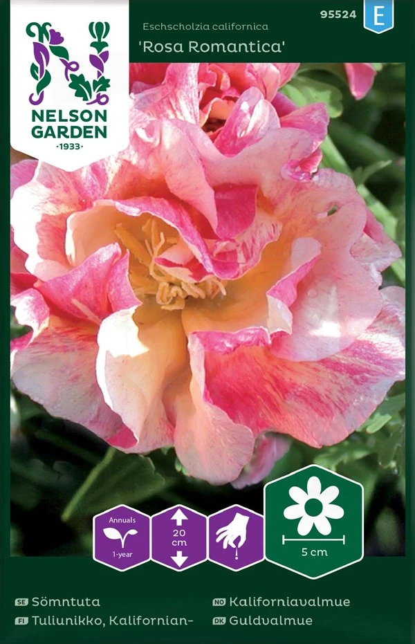 Californisk Guldvalmue 3 Californisk Guldvalmue