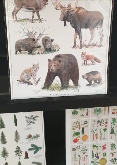 A4 Plakater Fra Koustrup Og Co 3 A4 Plakater Fra Koustrup Og Co