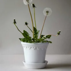 Københavner Potte, Mineral White, Inkl. Underskål