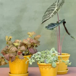 Københavner Potte,12 Cm, Glazed, Yellow Amber, Inkl. Underskål