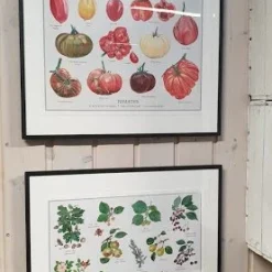 Plakat A2 Størrelse