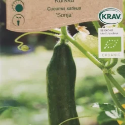 Agurk øko