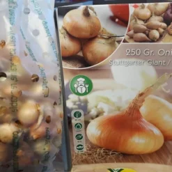 Sætteløg Gule Løg