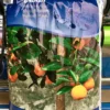 Middelhavsjord 8 Liter -Smuk Haven Salgsbutik citrusjord gug20planteskole webshop