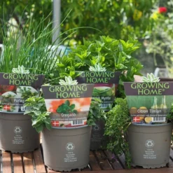 Krydderurter Fra Growing Home 2 Ltr.