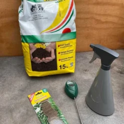 Omsorgspakke Stueplanter