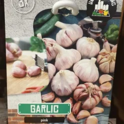 Sættehvidløg Pink