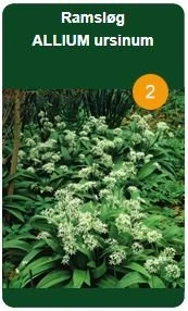 Ramsløg 3 Ramsløg