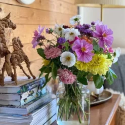 Frøkit Til Tivoli Buket